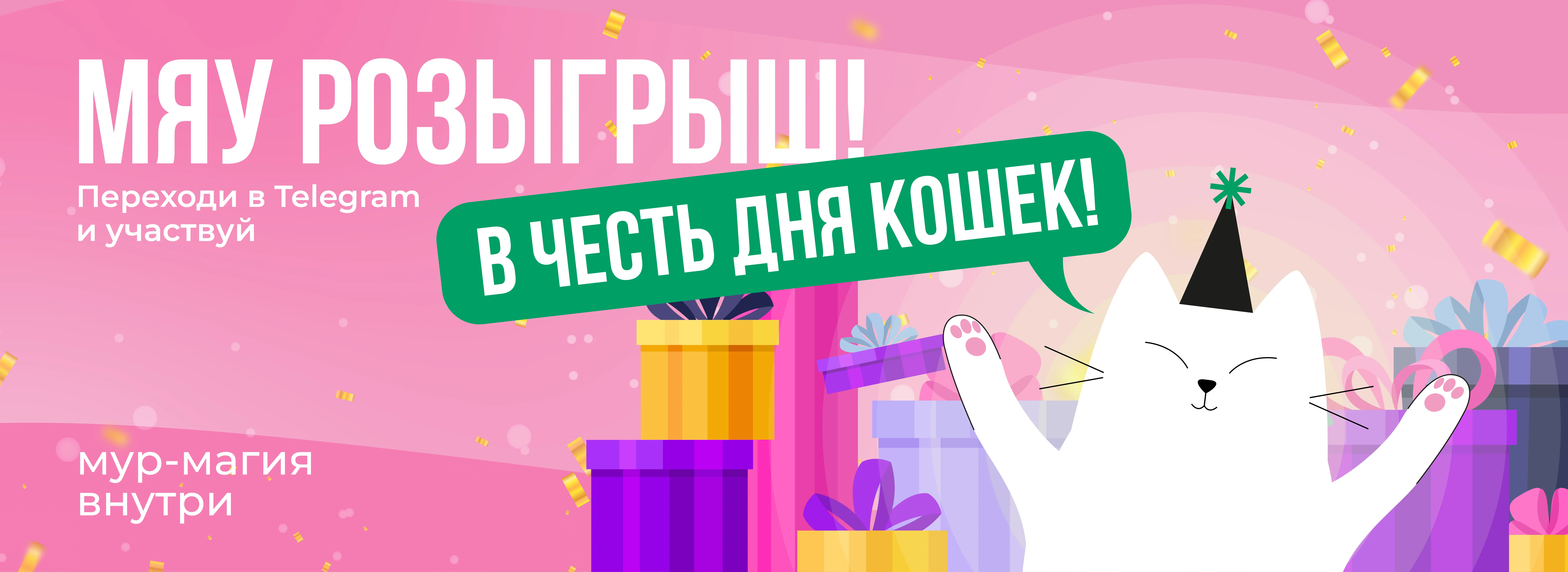 день котиков