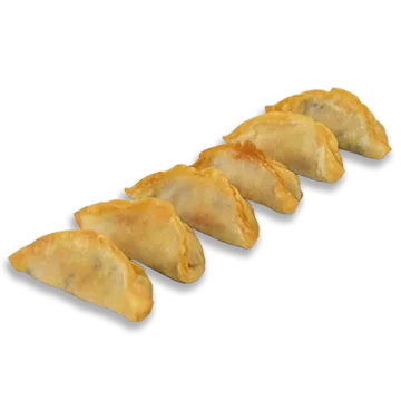 Гедза с курицей фрай 